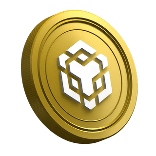 Página do guia para o trader iniciante sobre a criptomoeda BNB